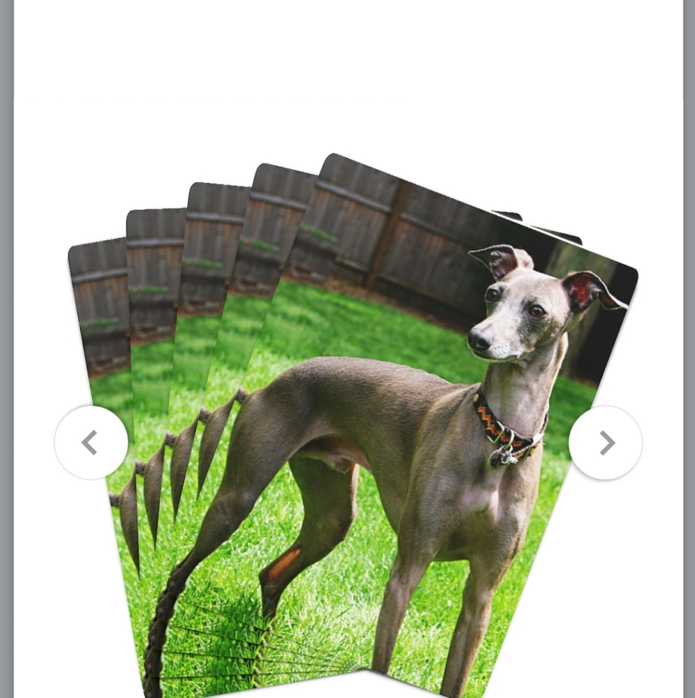 Italian Greyhound / Whippet cards